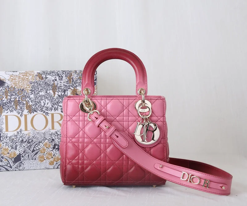 WF - Dior Bags - 770